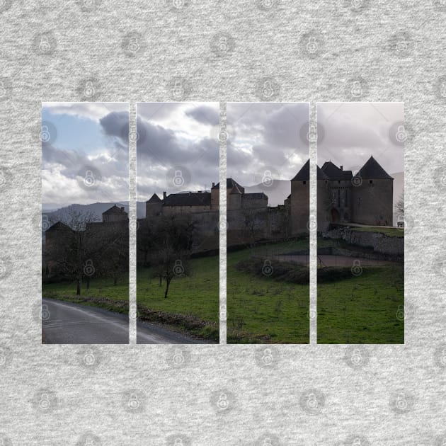 Berze-le-Chatel fortress is a 10th-century castle in the Bourgogne-Franche-Comte. Cloudy winter day by fabbroni-art